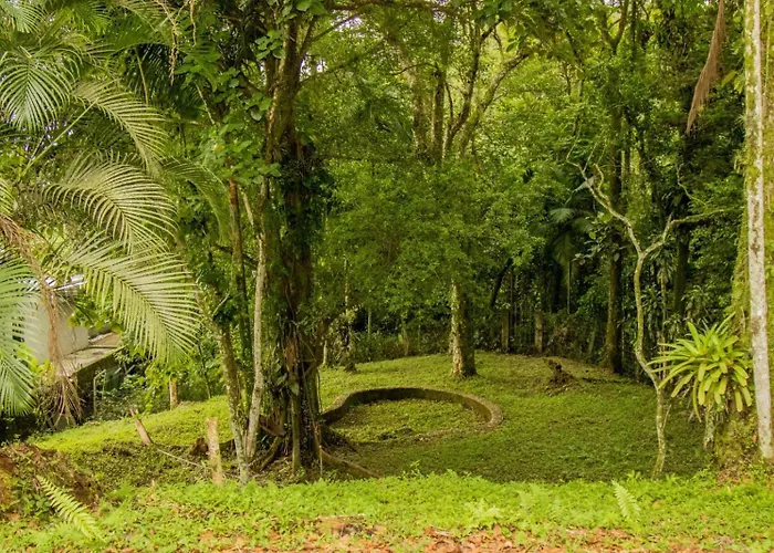 Gajah